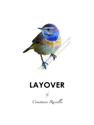 cover image of Layover
